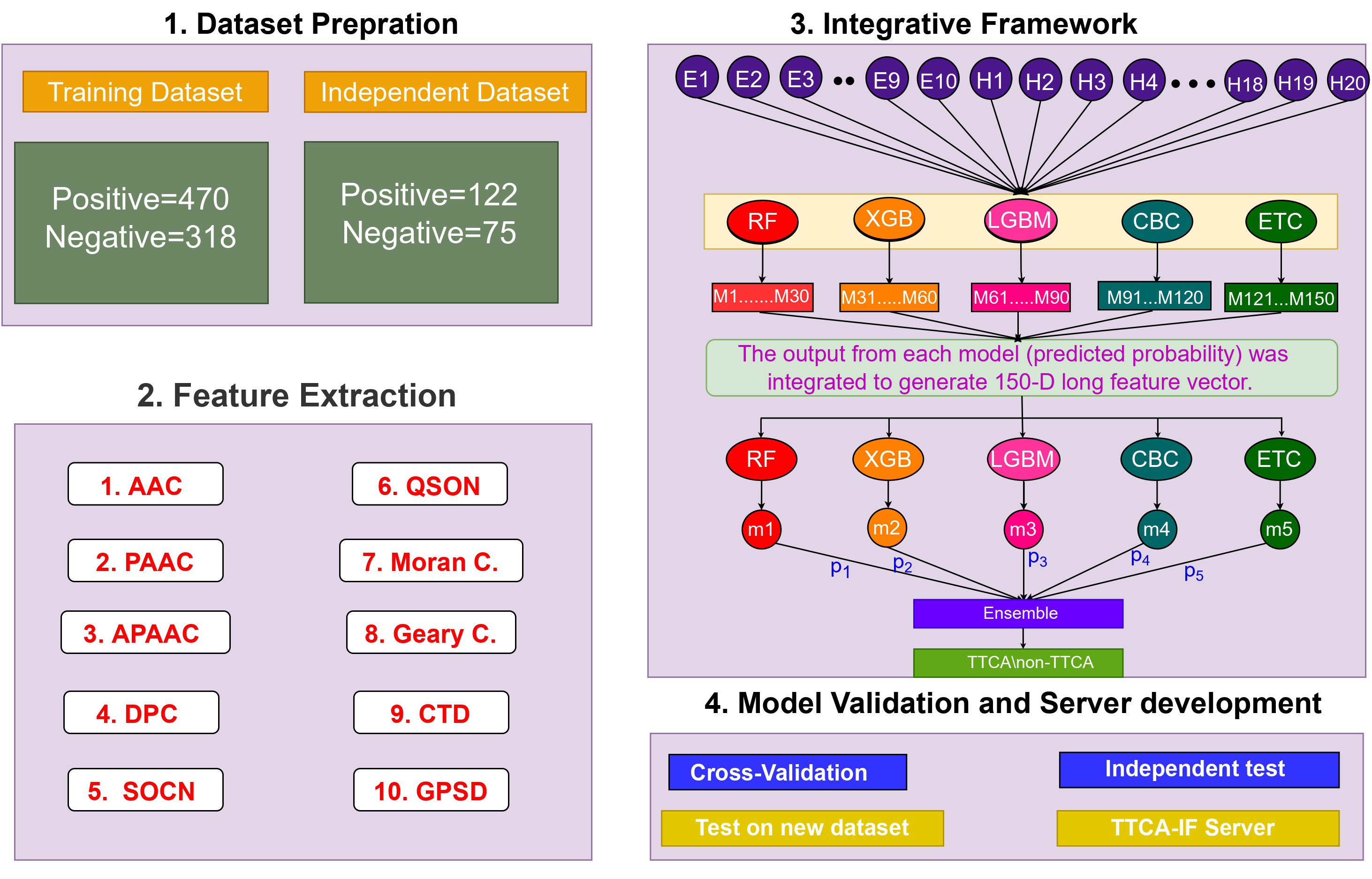 TTCA model architecture